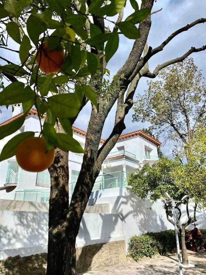 Nuevo Los Almendros 303 Complejo Turistico Apartment Cordoba Exterior photo